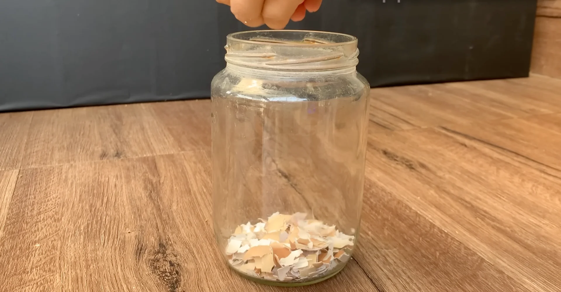 The Simple Feeding Trick That Boosts Orchid Roots and Blooms screenshot 5