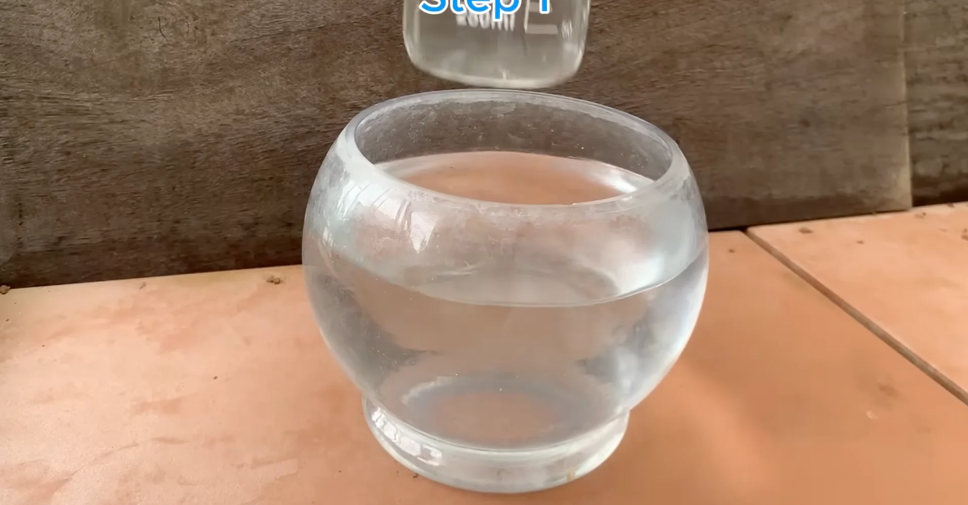 What Happens When You Place This Under Orchid Roots? screenshot 6