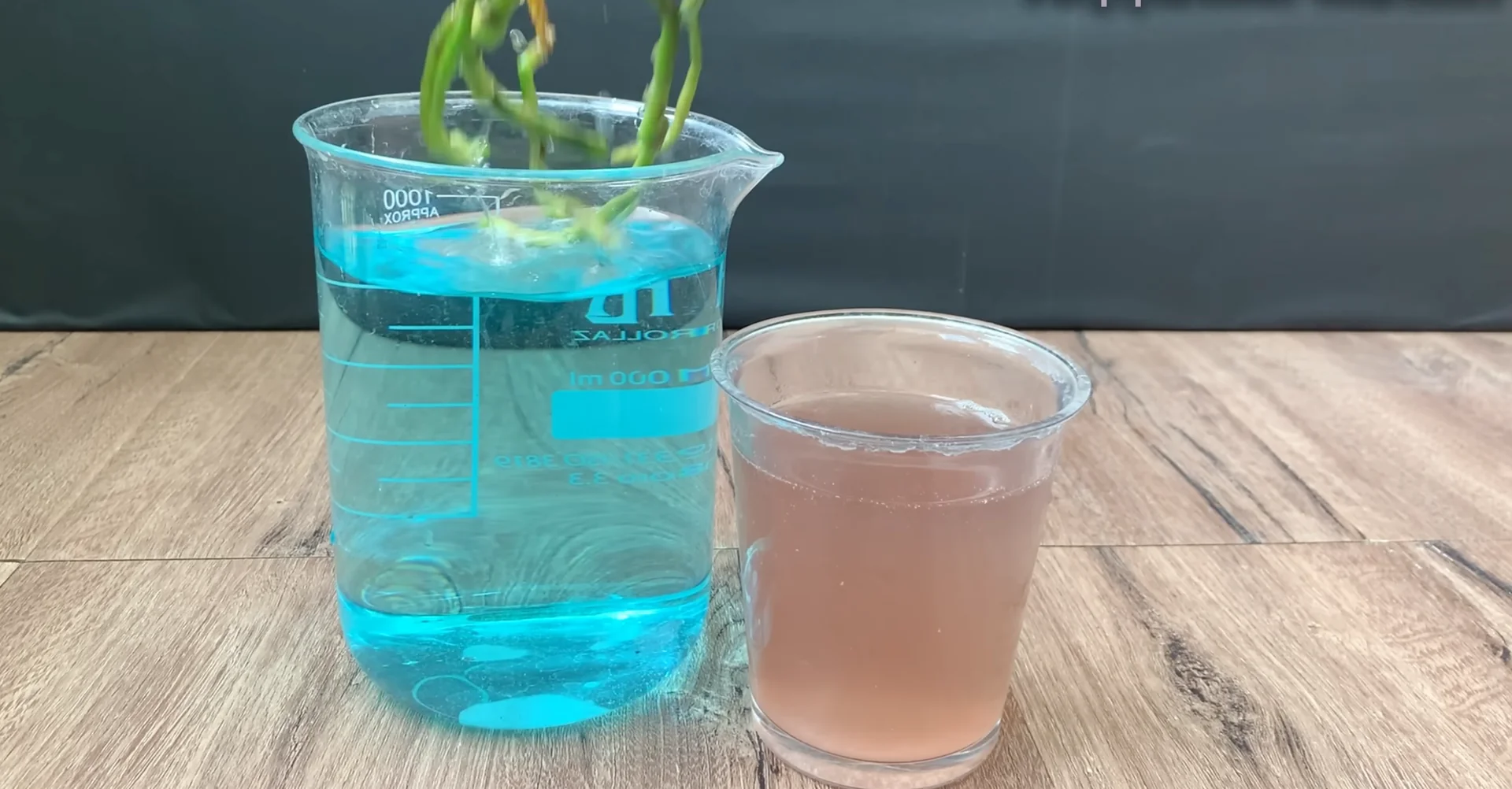 Why I Switched from Orchid Soil and Boosted Root Growth? screenshot 8