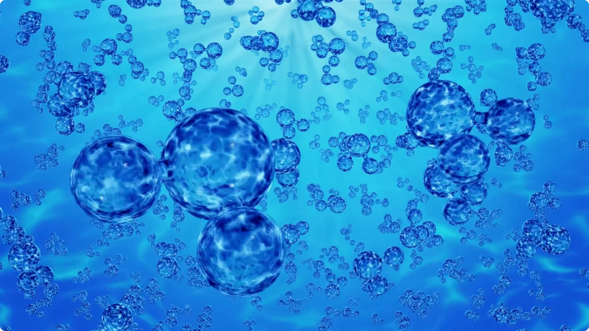 Why You Should Spray Your Hydrangeas with Hydrogen Peroxide Immediately screenshot 2