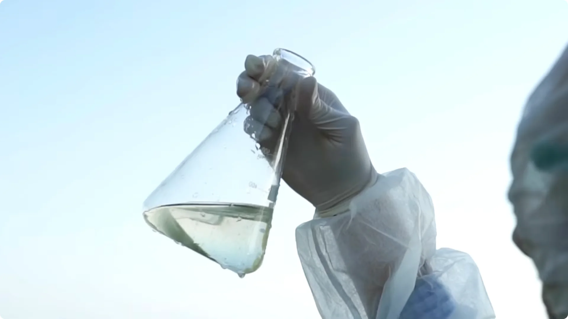 Why You Should Spray Your Hydrangeas with Hydrogen Peroxide Immediately screenshot 4